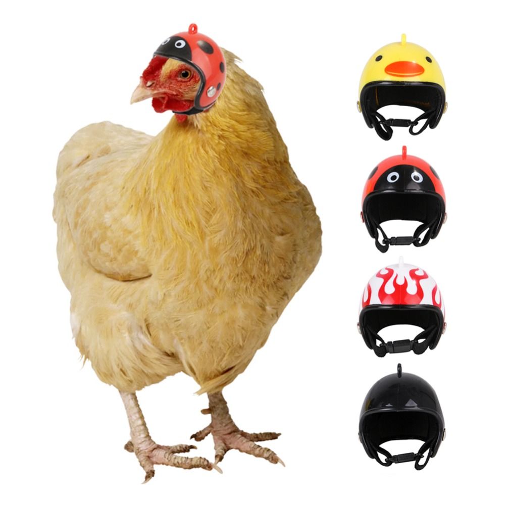 Pet X Supplies & Tack - ABS Artículos para Mascotas, Divertido Casco
