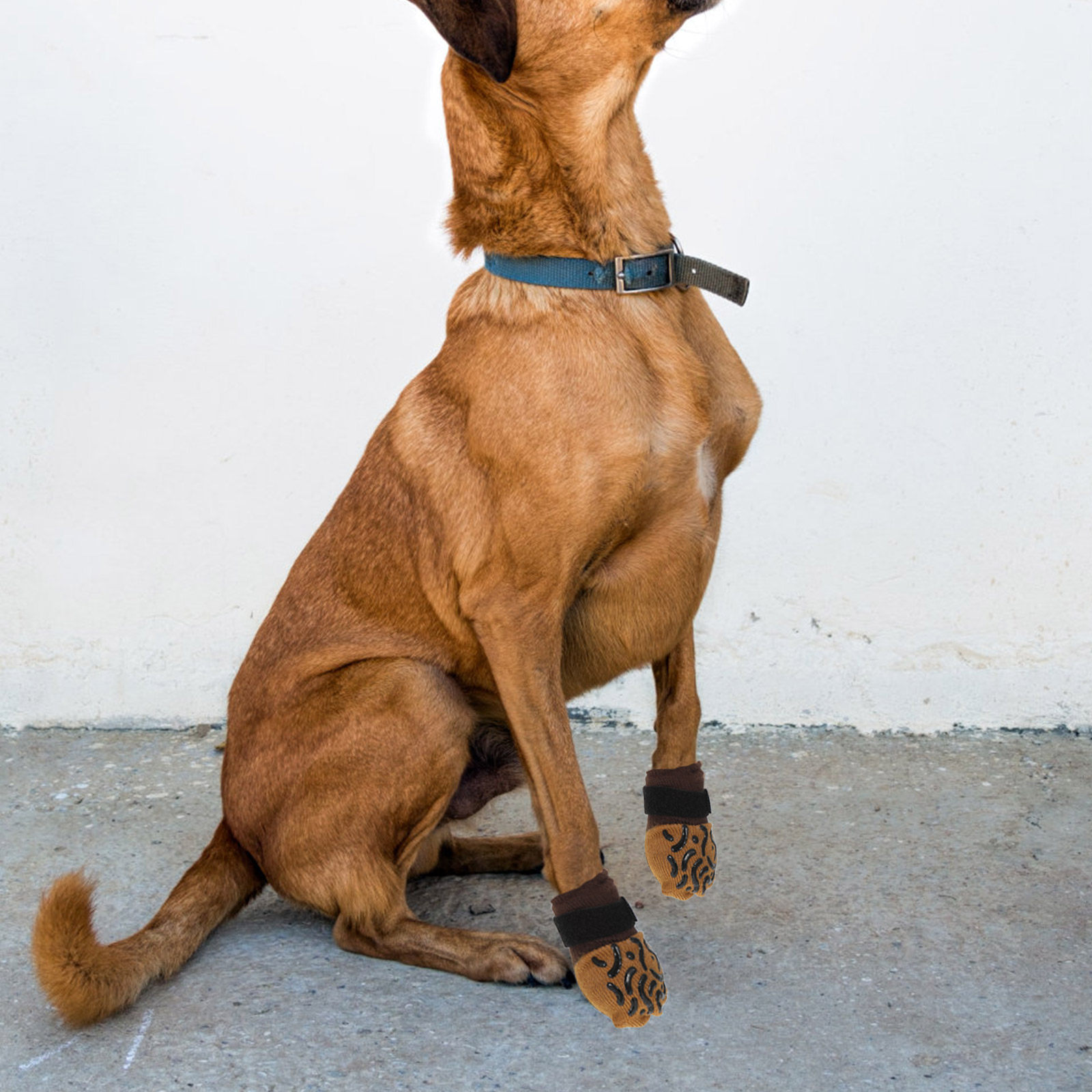 Dog Booties Paw Protector - 4 Pares de Calcetines Antideslizantes para