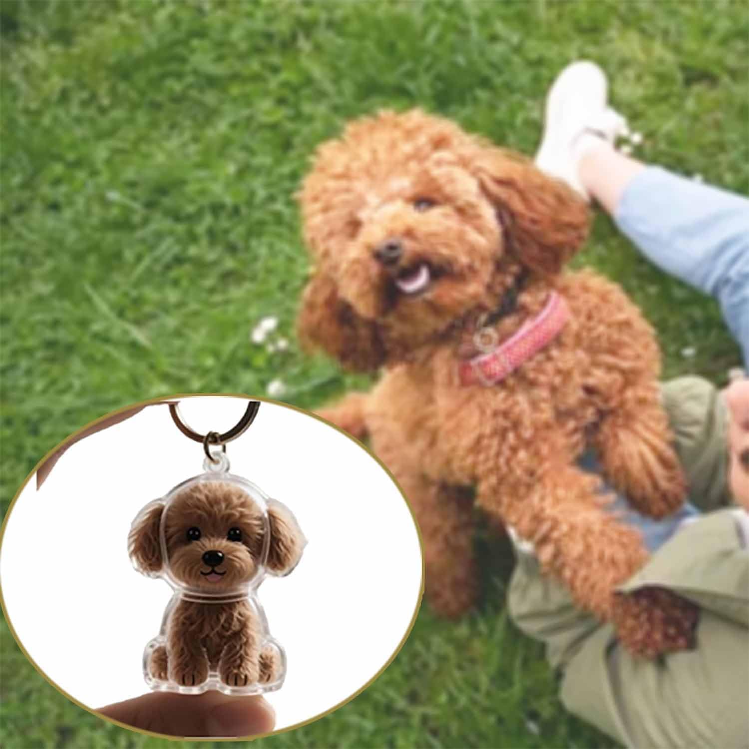 Colgante Transparente Conmemor - Pet Supplies Outlet reseña y precio