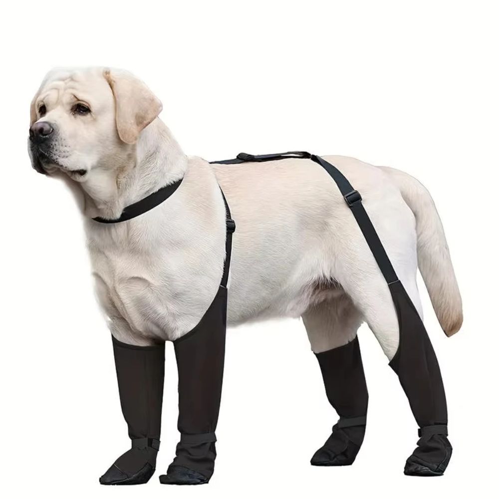 Zapatos impermeables anticaída - Dog Booties Paw Protector reseña y precio
