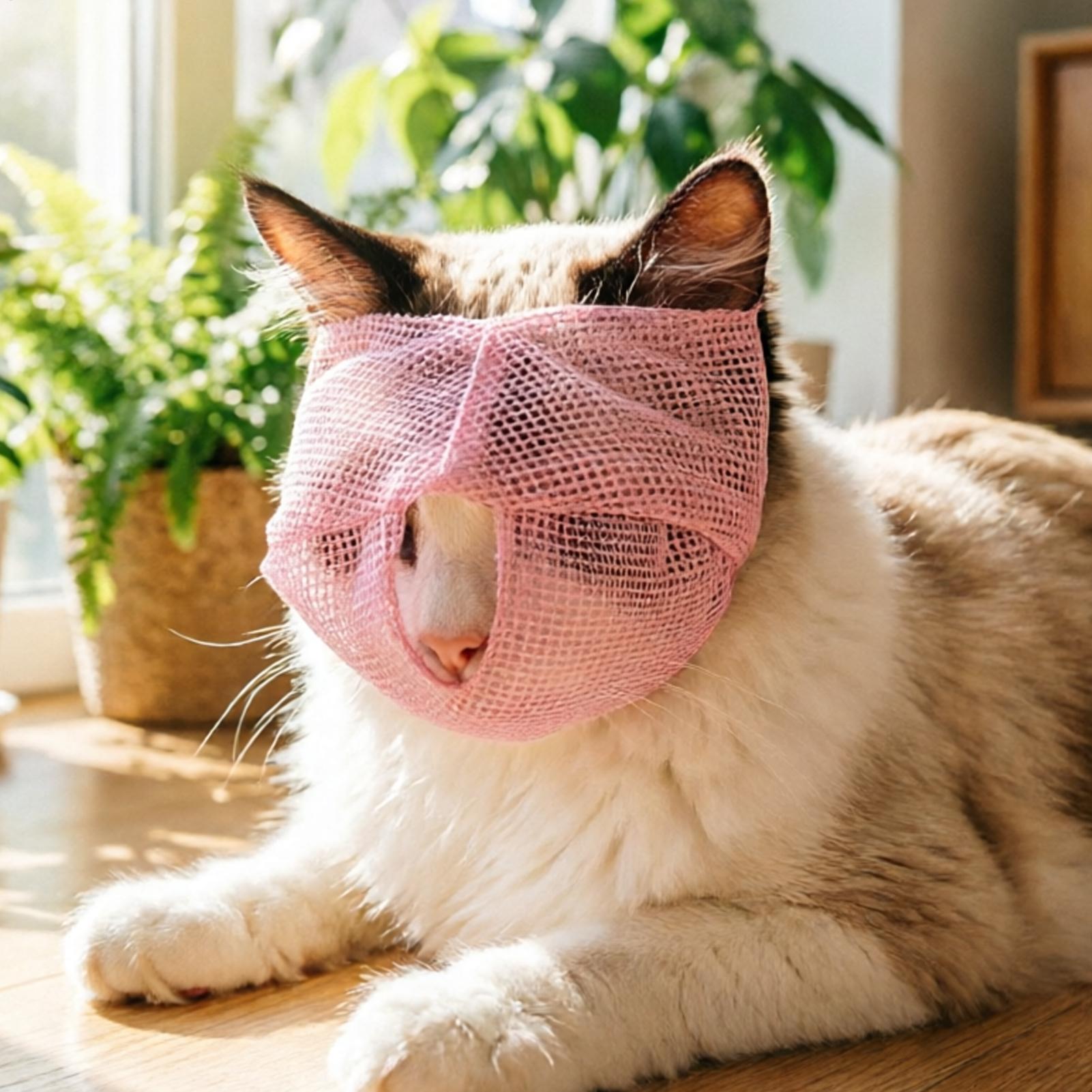 Bozal para Gatos de Malla Tran - Pet Supplies Vet reseña y precio