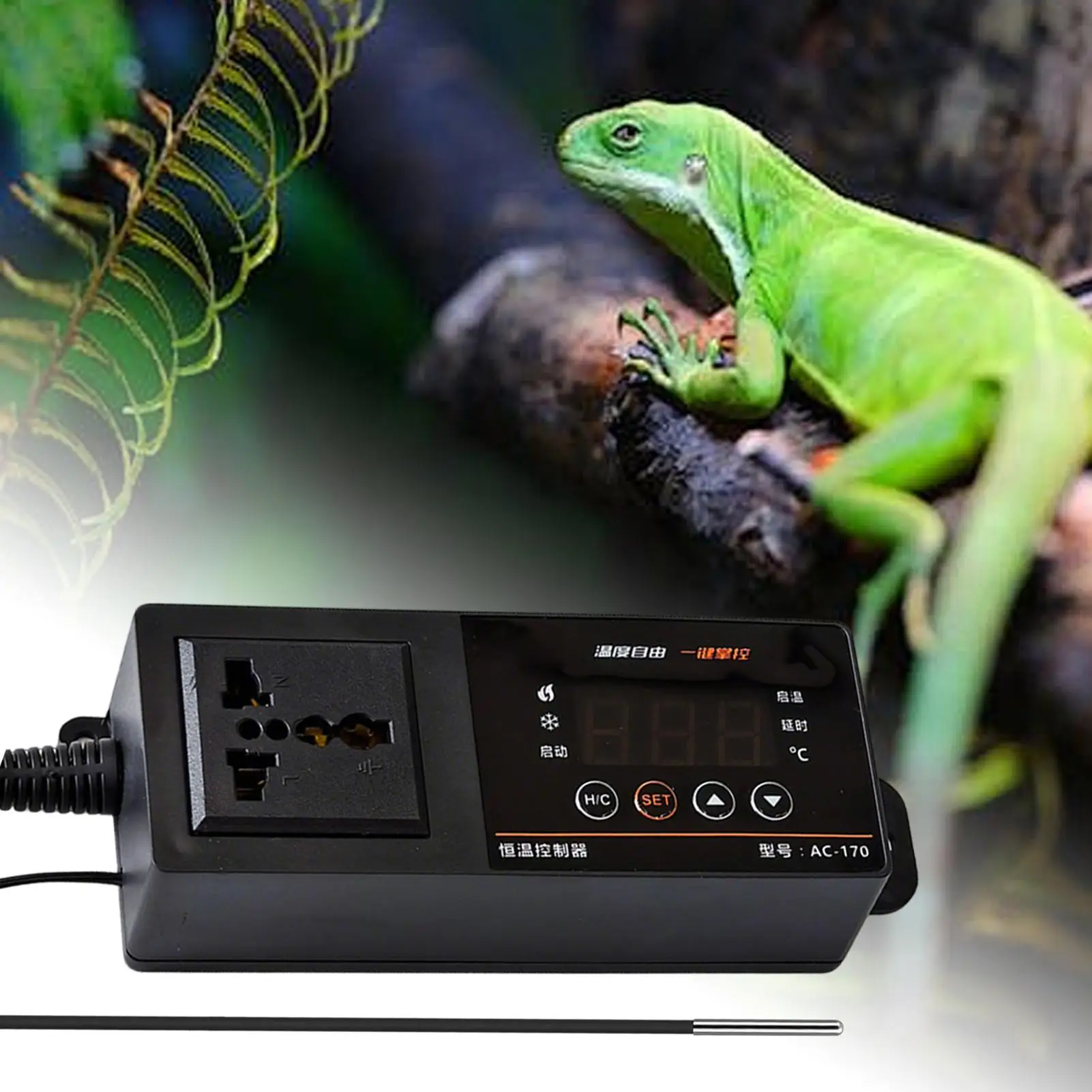 Termostato para tanque de rept - Pet Supplies Uk reseña y precio