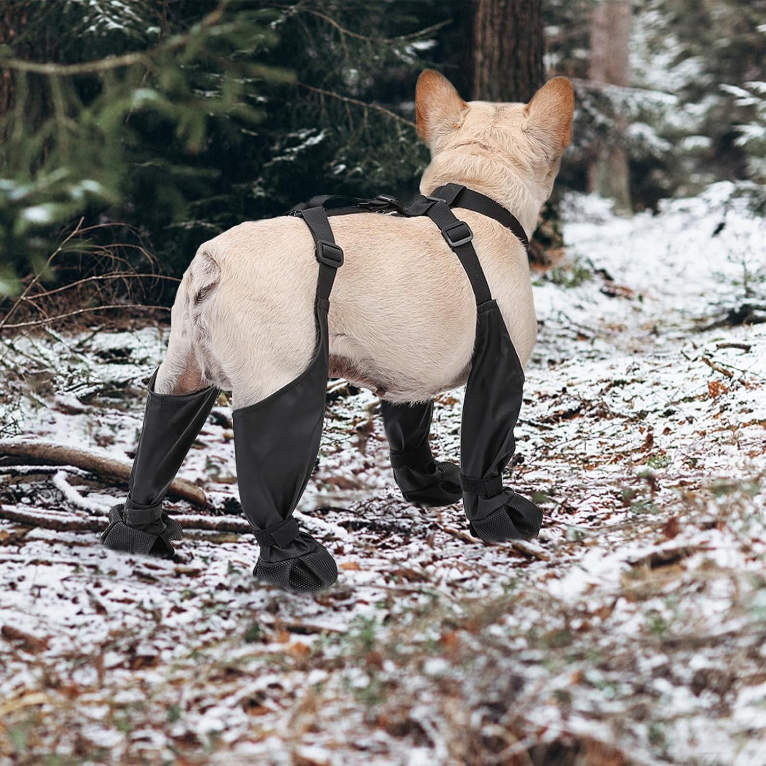 Botas con tirantes para perros - Dog Booties Paw Protector reseña y precio