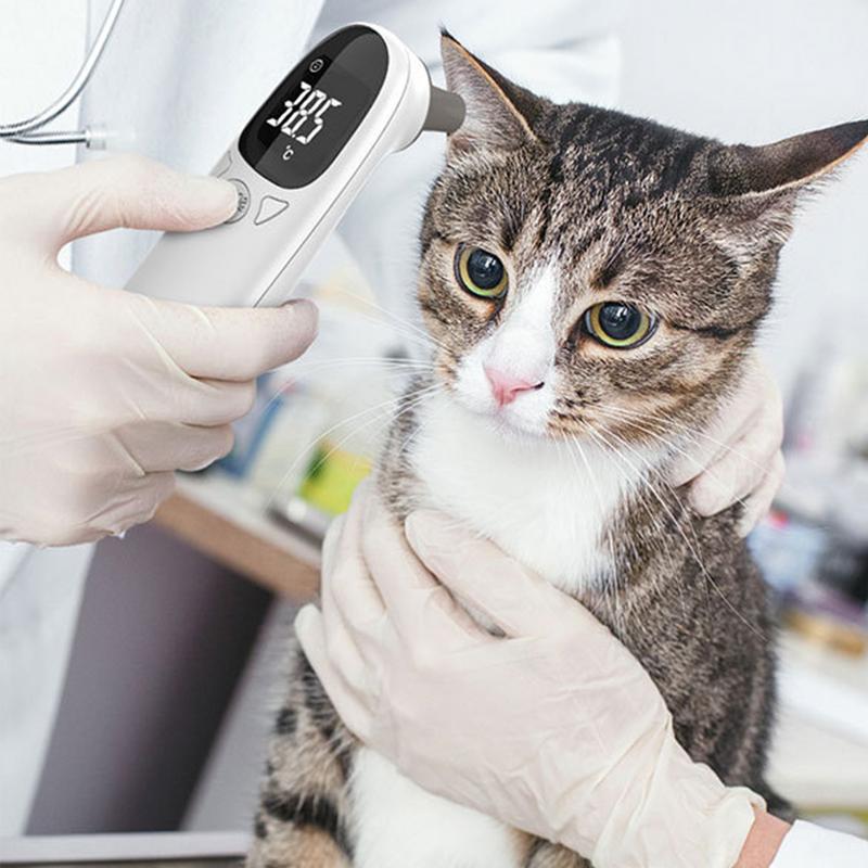 Termómetro veterinario para pe - Pet Supplies Vet reseña y precio