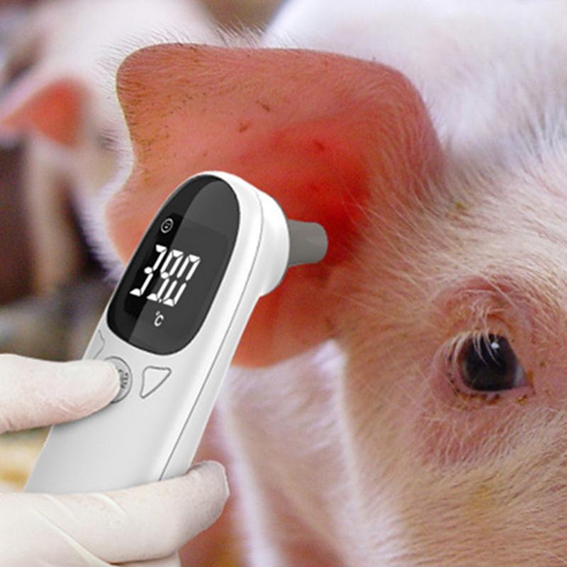 Termómetro veterinario para pe - Pet Supplies Vet reseña y precio