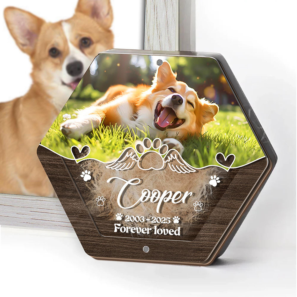 Caja de almacenamiento de pelo - Pet Supplies Warehouse reseña y precio