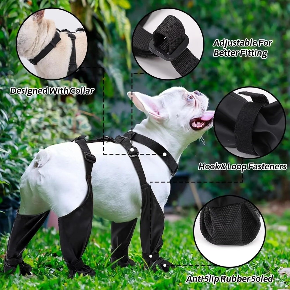 Zapatos Impermeables Antidesli - Dog Booties Paw Protector reseña y precio