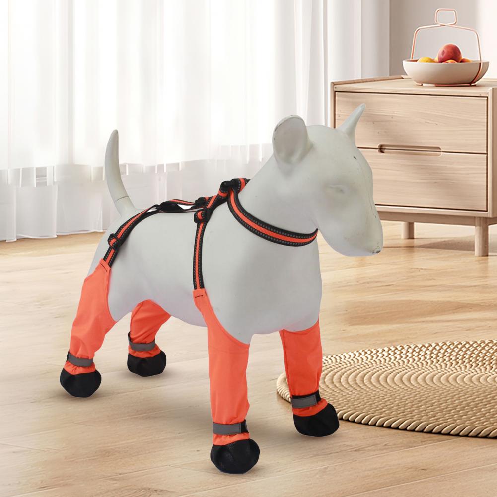 Botines con Tirantes para Perr - Dog Booties Paw Protector reseña y precio