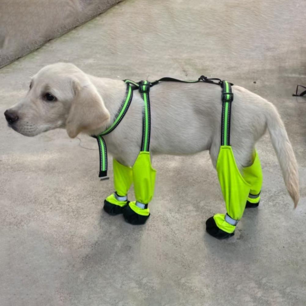 Botines con Tirantes para Perr - Dog Booties Paw Protector reseña y precio
