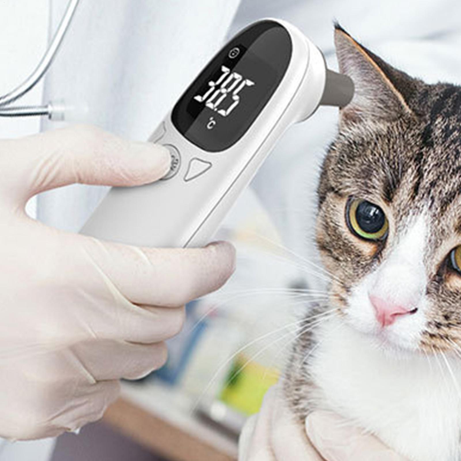 Termómetro para Perros y Gatos - Pet Supplies Vet reseña y precio
