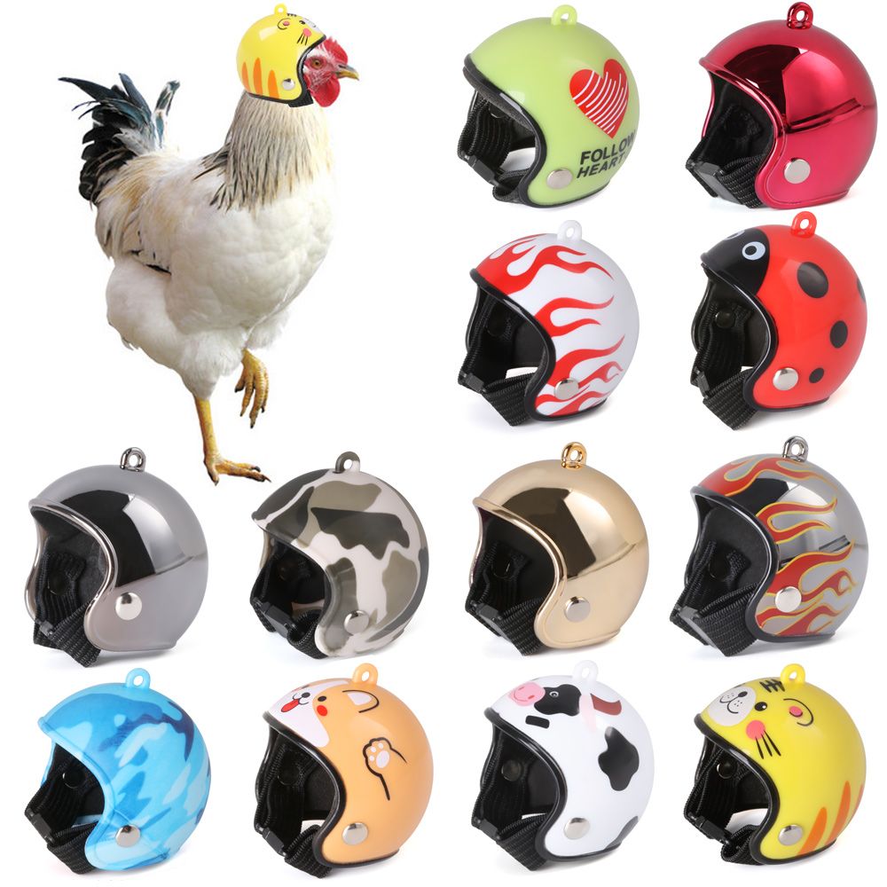 ABS Artículos para Mascotas, D - Pet X Supplies & Tack reseña y precio