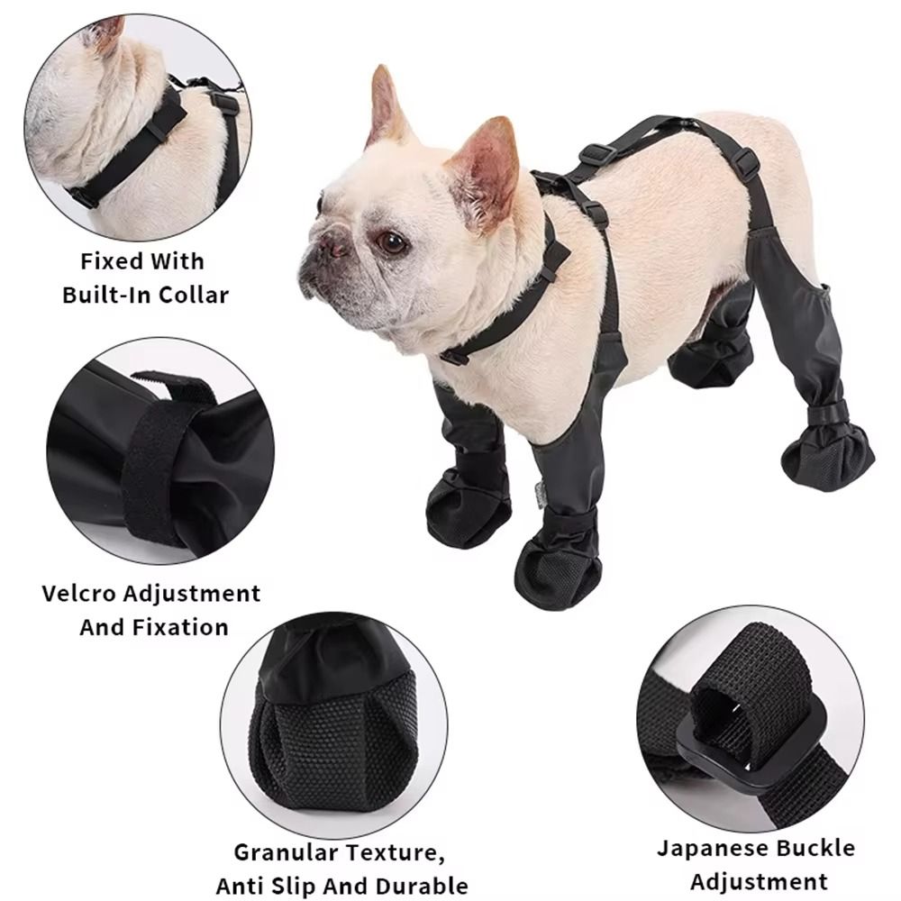 Zapatos impermeables anticaída - Dog Booties Paw Protector reseña y precio