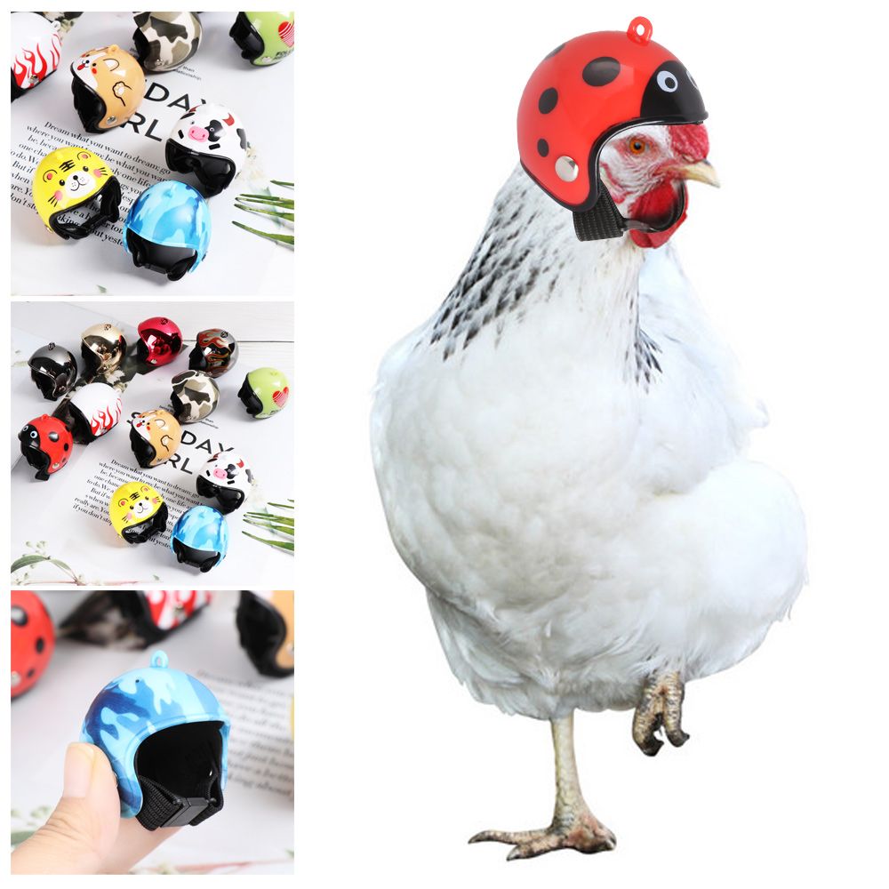 Divertidos Accesorios para Mas - Pet X Supplies & Tack reseña y precio