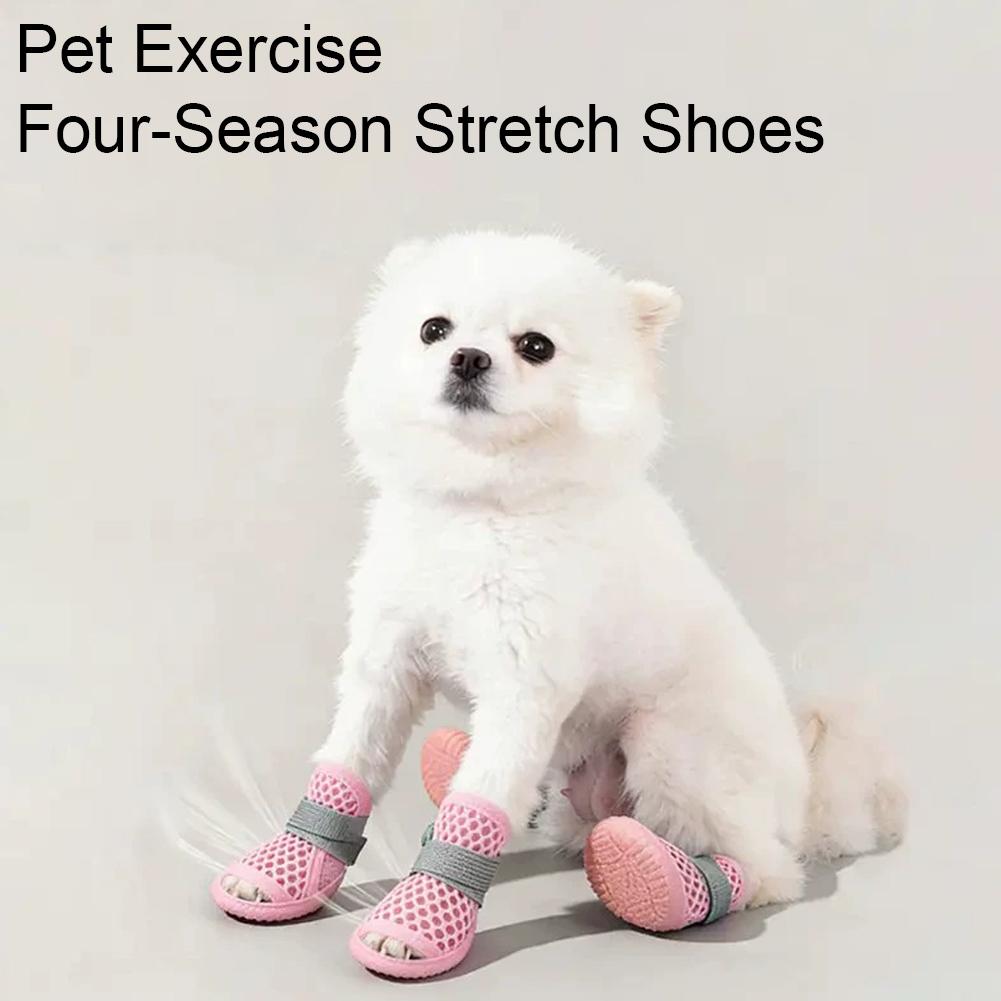 Zapatos Transpirables de Veran - Dog Booties Paw Protector reseña y precio