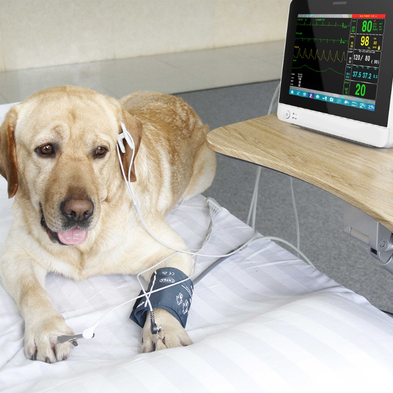 Pantalla táctil veterinaria pa - Pet Supplies Vet reseña y precio