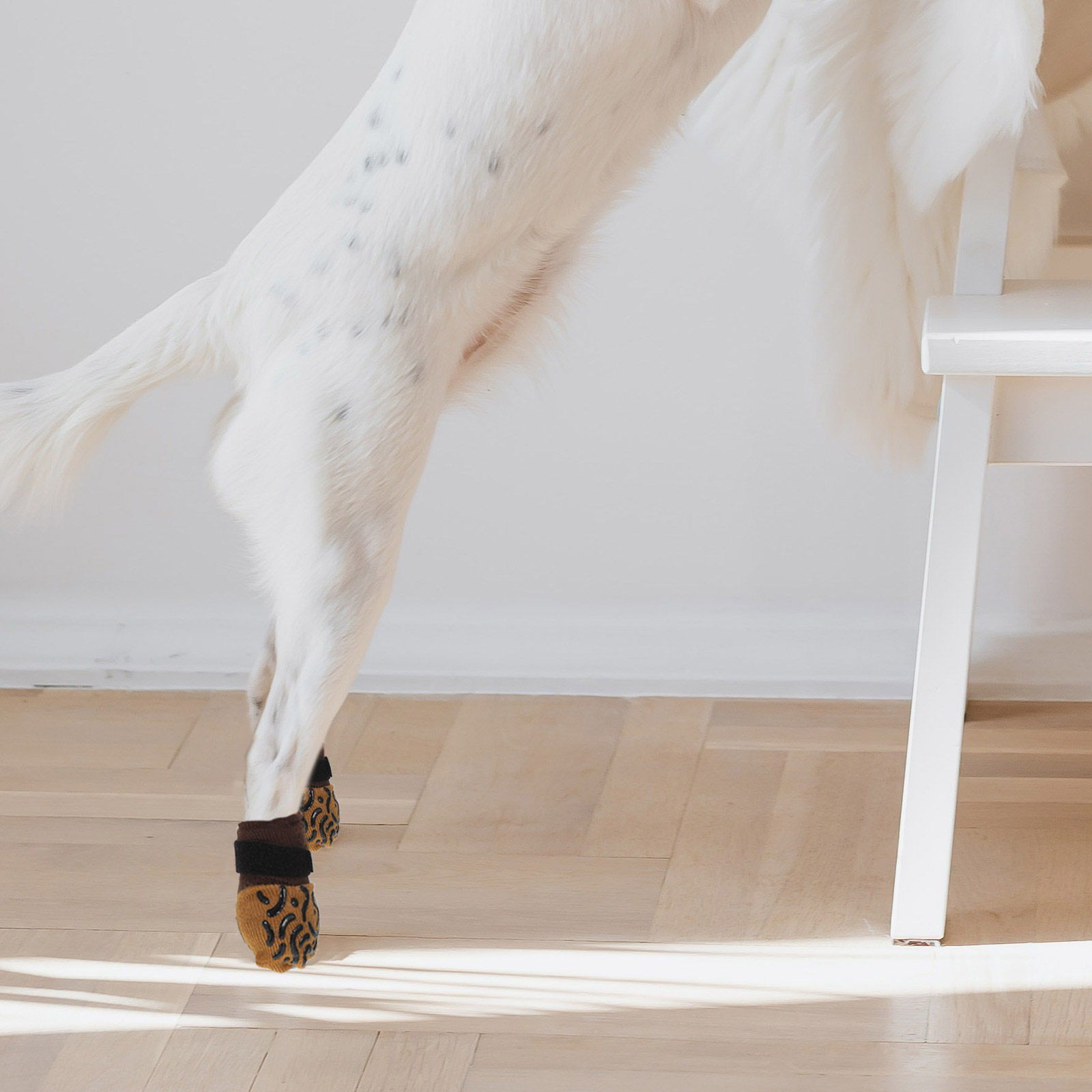 4 Pares de Calcetines Antidesl - Dog Booties Paw Protector reseña y precio